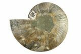 Cut & Polished Ammonite Fossil (Half) - Madagascar #341217-1